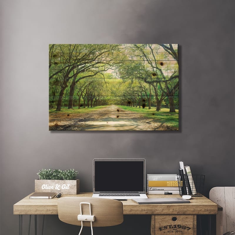 Live Oaks And Spanish Moss Wormsloe State Historic Site Savannah, Georgia Print On Wood by Panoramic Images - Multi-Color