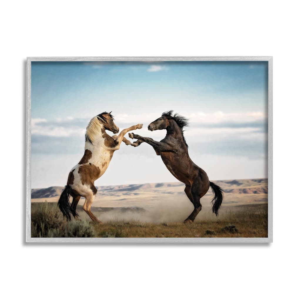 Stupell Fighting Horses Photography Framed Giclee Art Design by PBurchettePhoto