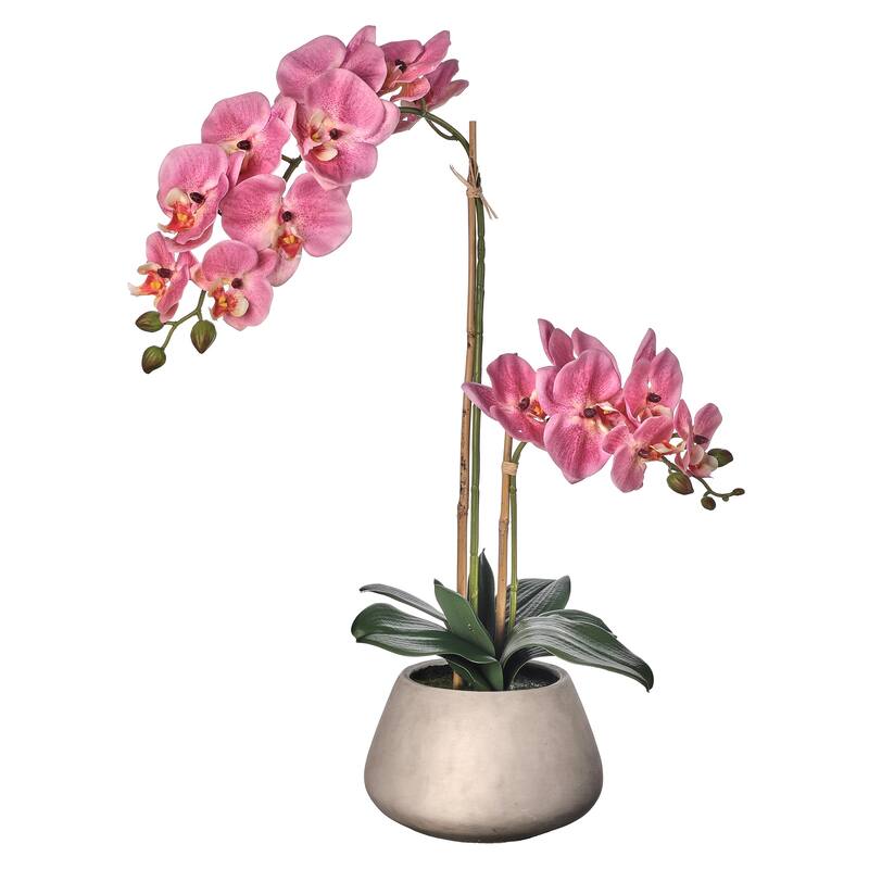24" Natural Touch Phaleanopsis In Cement Pot
