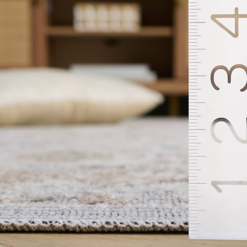 SAFAVIEH Miranda Jeannett Traditional Rug