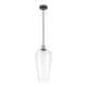 Option Clear / Black Antique Brass