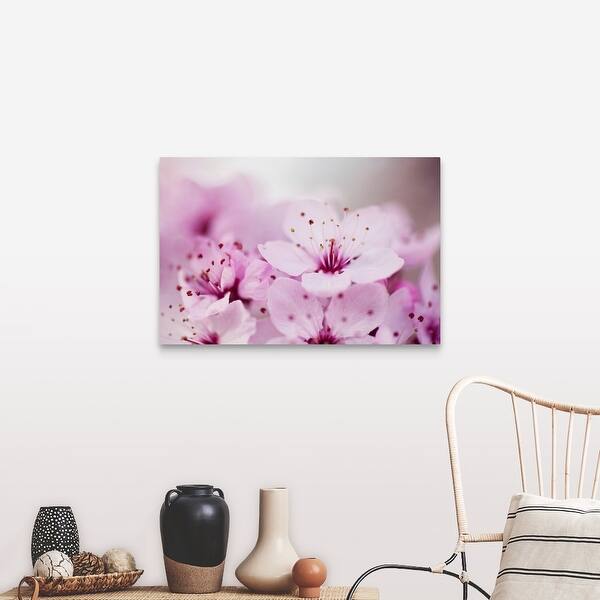 Shop Pink Cherry Blossom Canvas Wall Art Free Shipping Today
