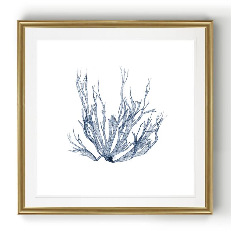 Navy Seaweed IV -Black Framed Print
