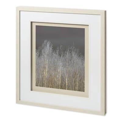 Silver Forest II Framed Art Print