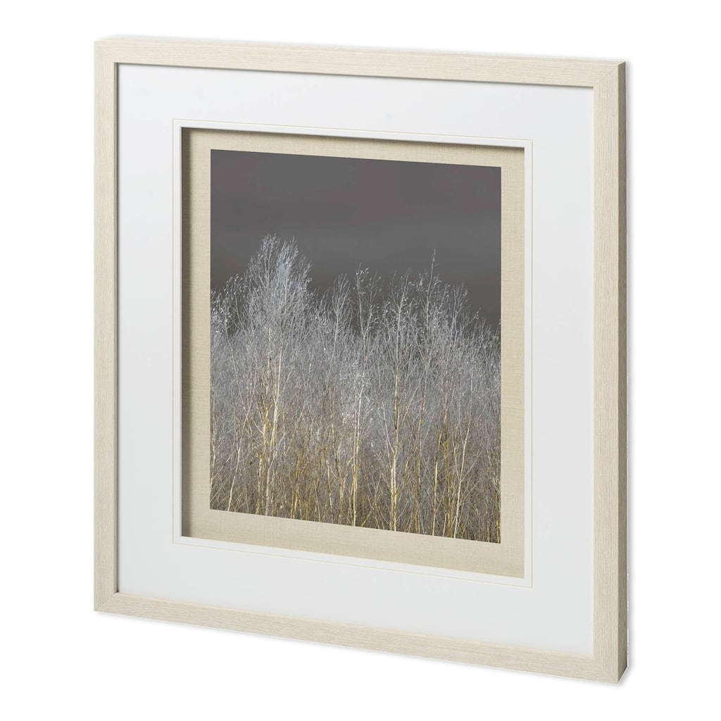 Silver Forest II Framed Art Print