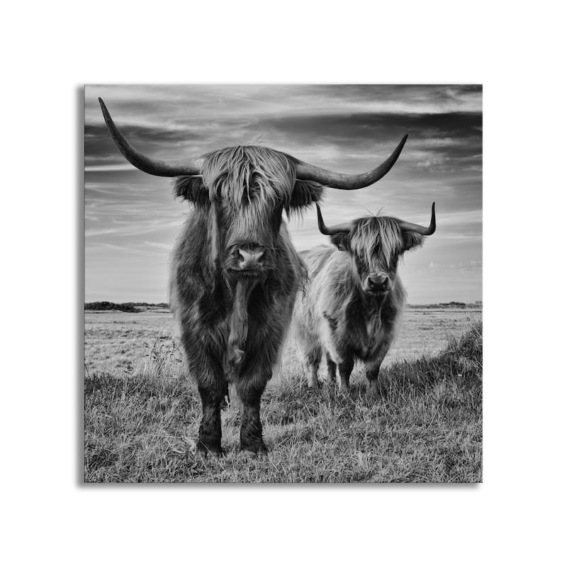 "Highlands" Framed Print Wall Art by Stephane Pecqueux
