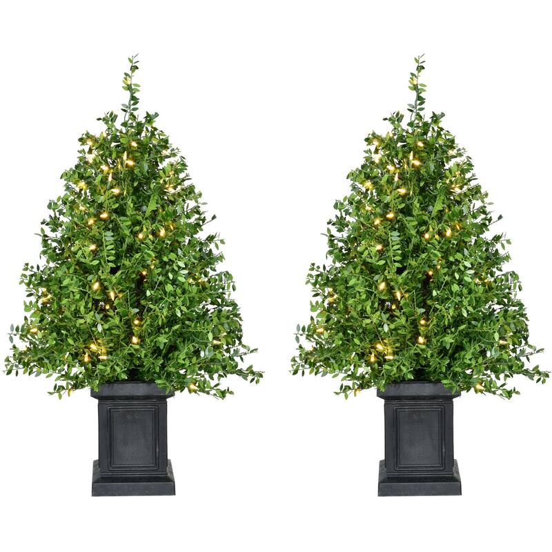 Fraser Hill Farm 4-Ft. Boxwood Porch Tree in Black Pot with Warm White Lights, Set of 2