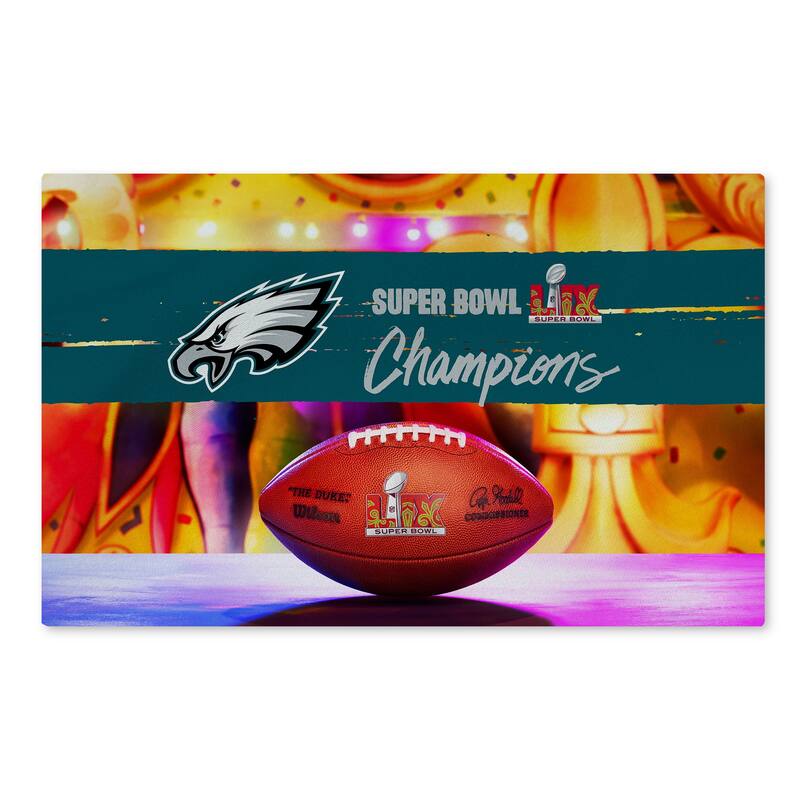 NFL Super Bowl Champs Washable Rug