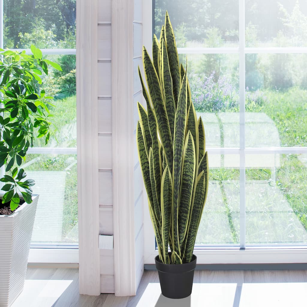 Potted Sansevieria Trifasciatia 52.5"