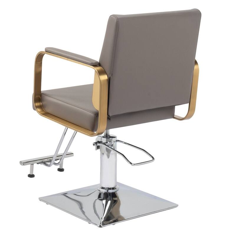 PVC Leather Stainless Steel Armrests Footrests Square Chassis Salon Chair - N/A