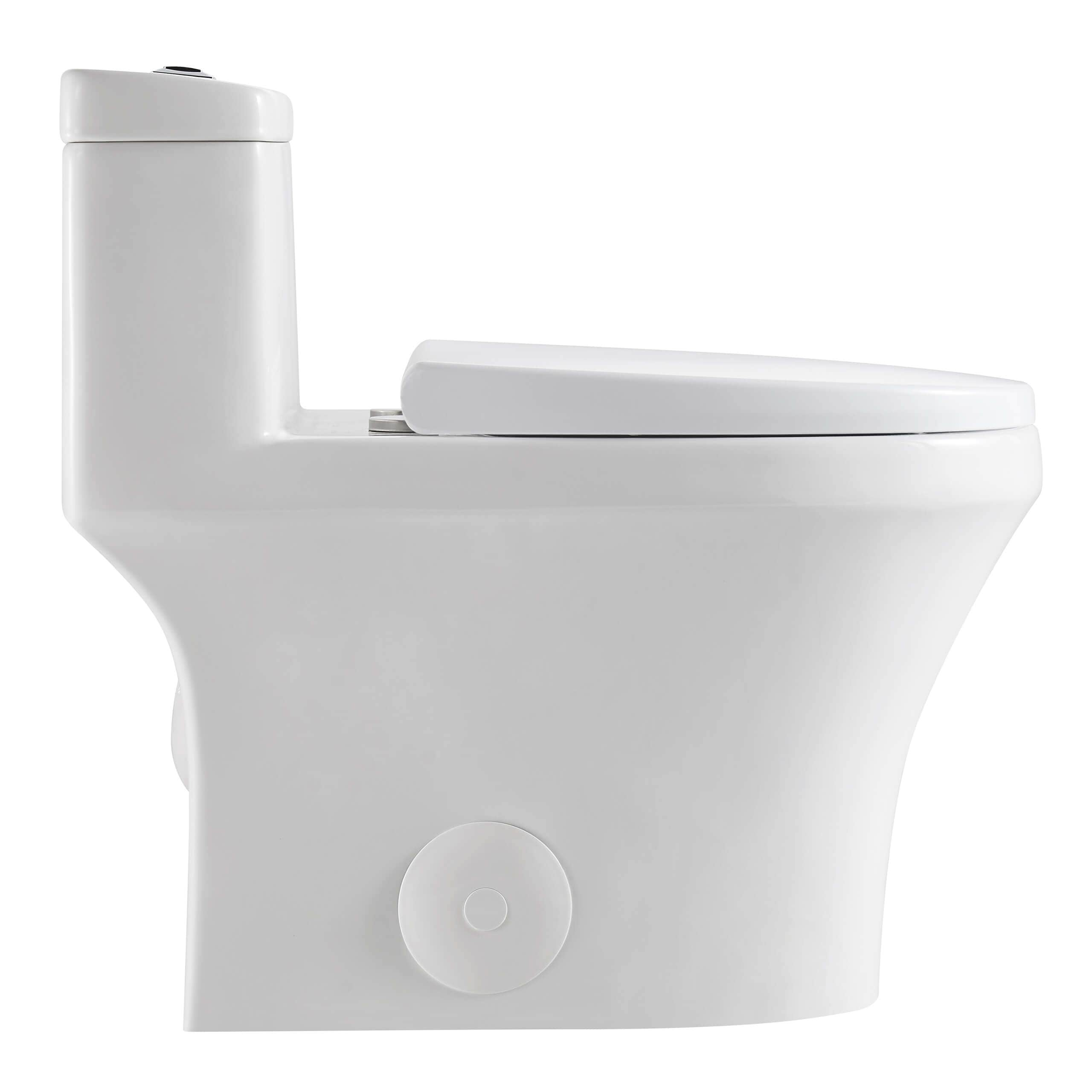 https://ak1.ostkcdn.com/images/products/is/images/direct/f4c0effc4d1cd52ee44ecde044ecdb60f6228e8e/Fine-Fixtures-Dual-Flush-One-Piece-Toilet-With-High-Efficiency-Flush%2C-12%22-Rough-in%2C-Elongated-bowl.jpg