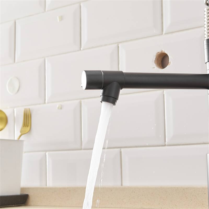 Single Handle Single Lever Kitchen Faucet with Pull Down Sprayer