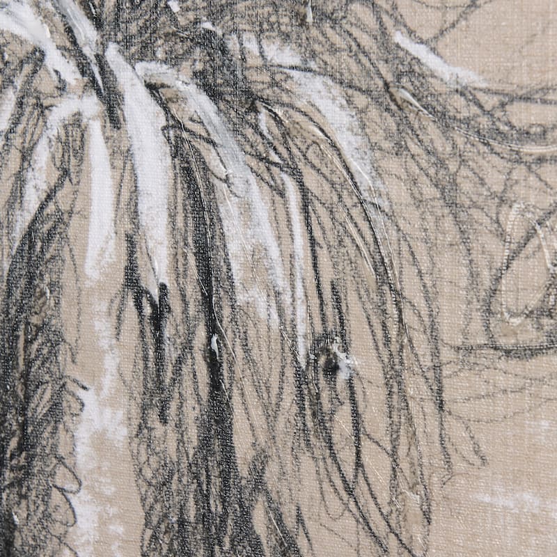 Sketch of Animal V (Goat) (30 x 45) Canvas Art Print