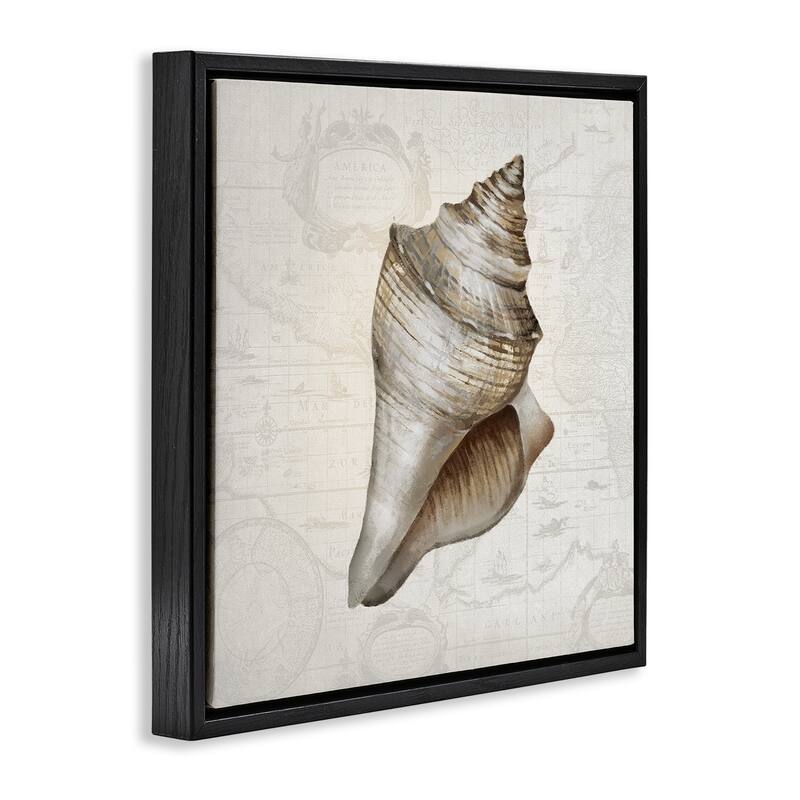Stupell Conch Shell over Vintage Map Framed Floater Canvas Wall Art Design By Conrad Knutsen