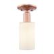 Option Antique Copper / Matte White