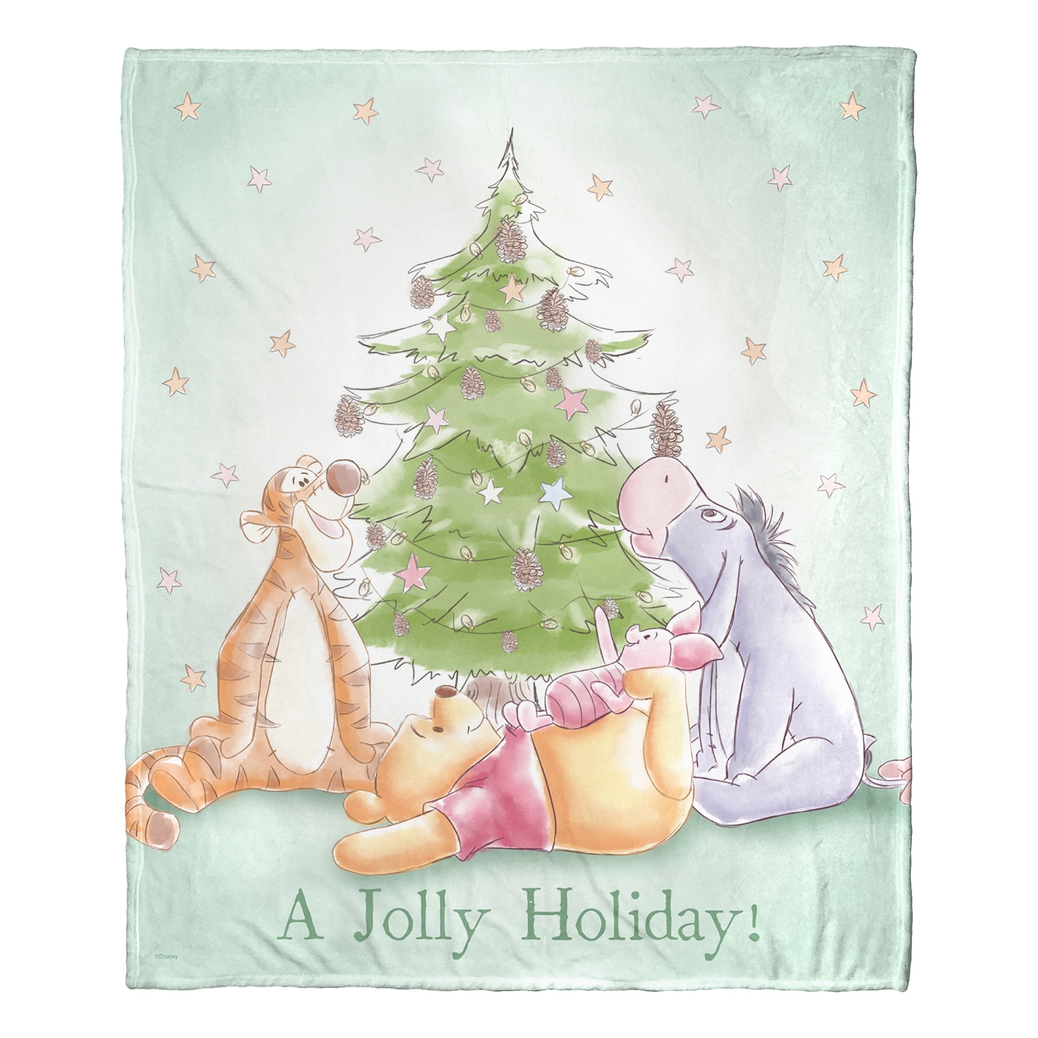 Disney Winne the Pooh Holiday Gathering Silk Touch Throw Blanket