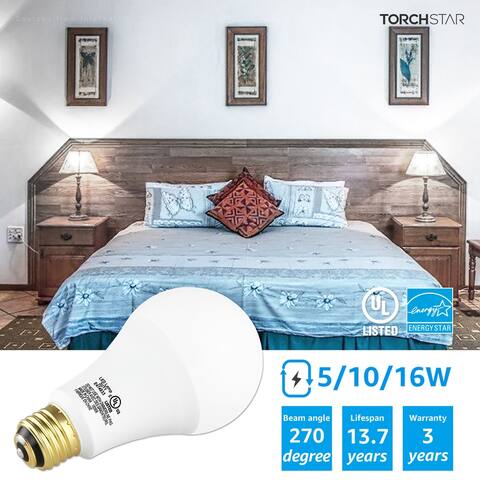 LED 3-Way A21 Light Bulb, 5000K Daylight, 40/60/100W Equivalent - 2PACK