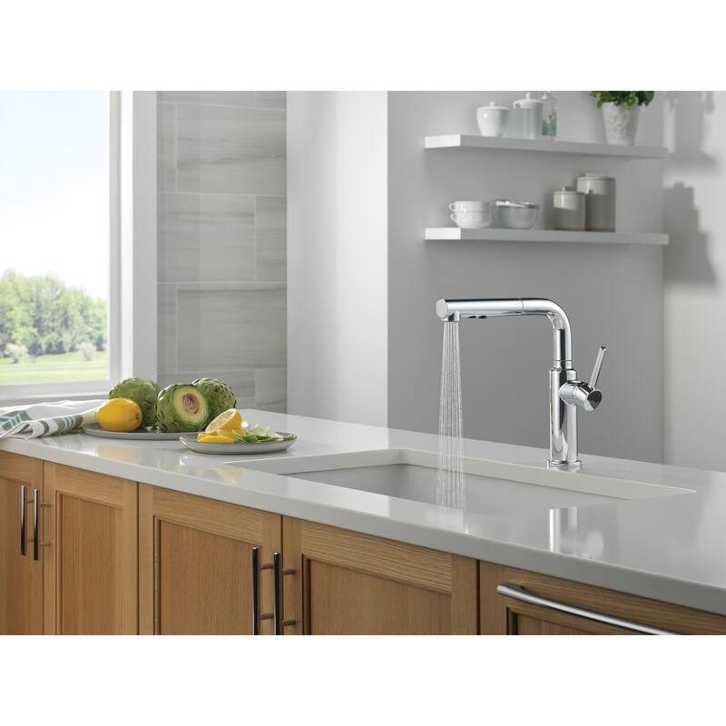 Delta 16879-DST Daneri 1.8 GPM Single Handle Pull Out Kitchen Faucet