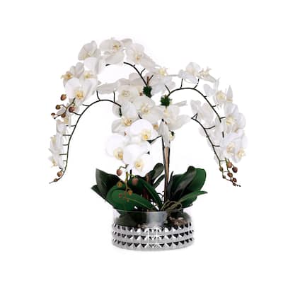 Real Touch Phalaenopsis Orchids /Moss/pebbles in Glass Silver Bowl