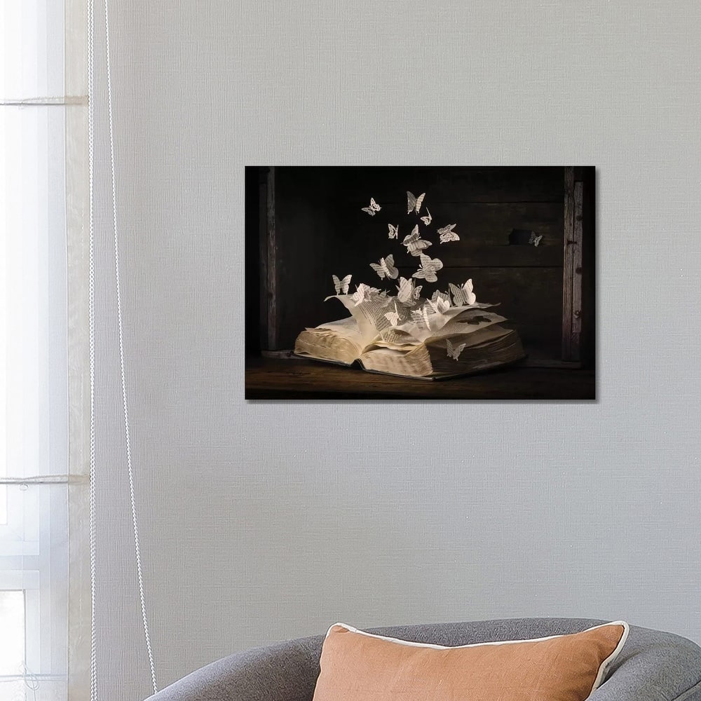 iCanvas "Lepidopterology" by Heather Bonadio Canvas Print