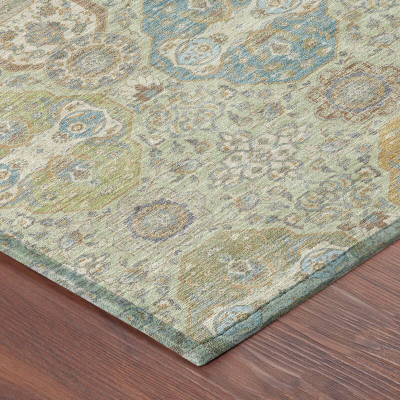 Machine Washable Indoor/ Outdoor Traditional Tracey Chantille Rug