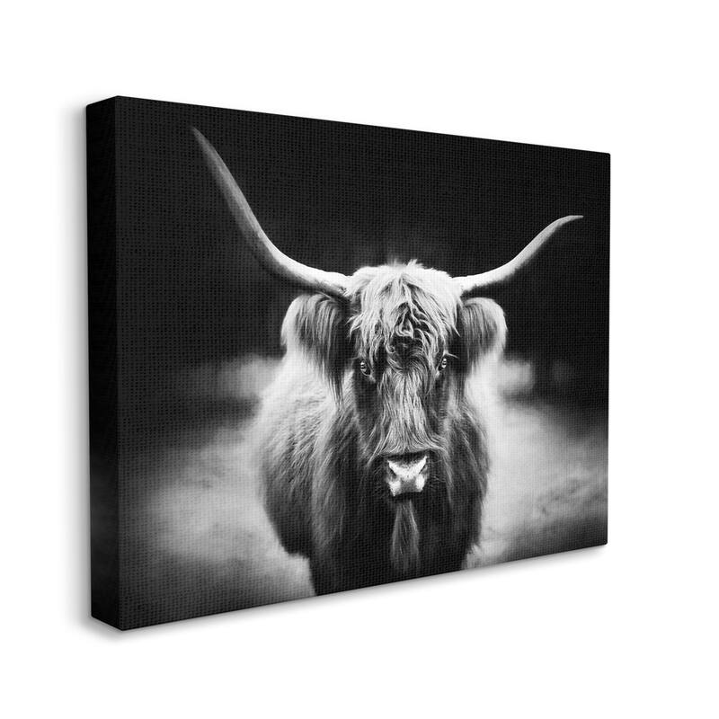 Stupell Bold Longhorn Portrait Black White Cattle Photography Canvas Wall Art - Grey