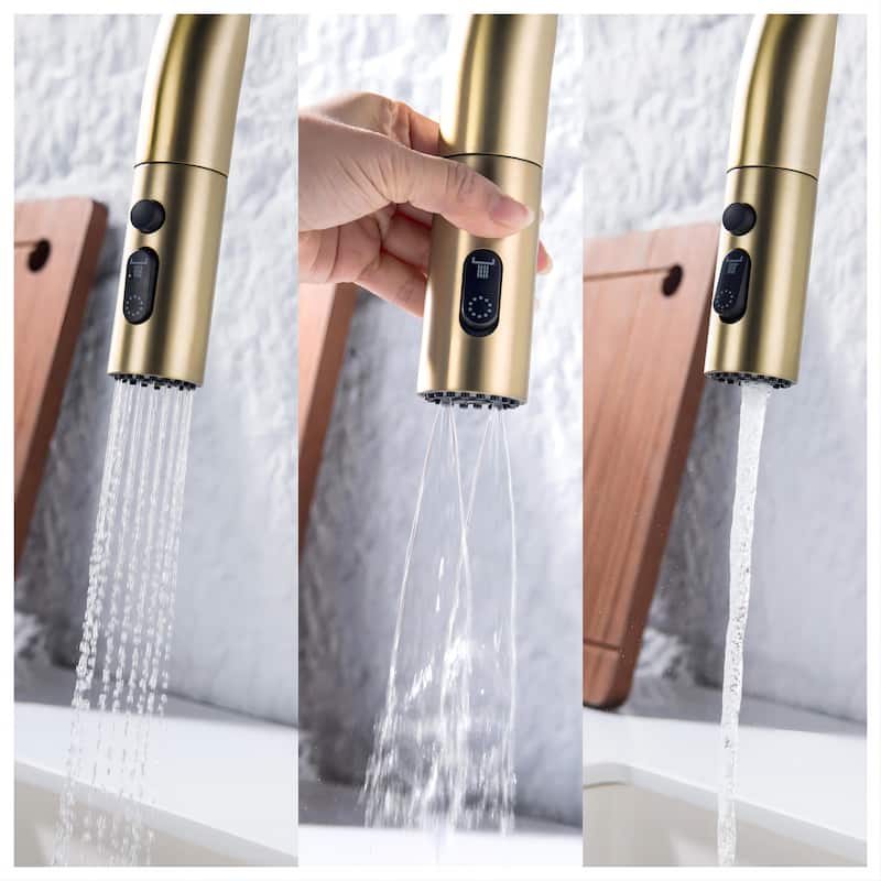 18''H 3-mode Temperature Display Kitchen Faucet with Pull Sown Sprayer in Black/Gold