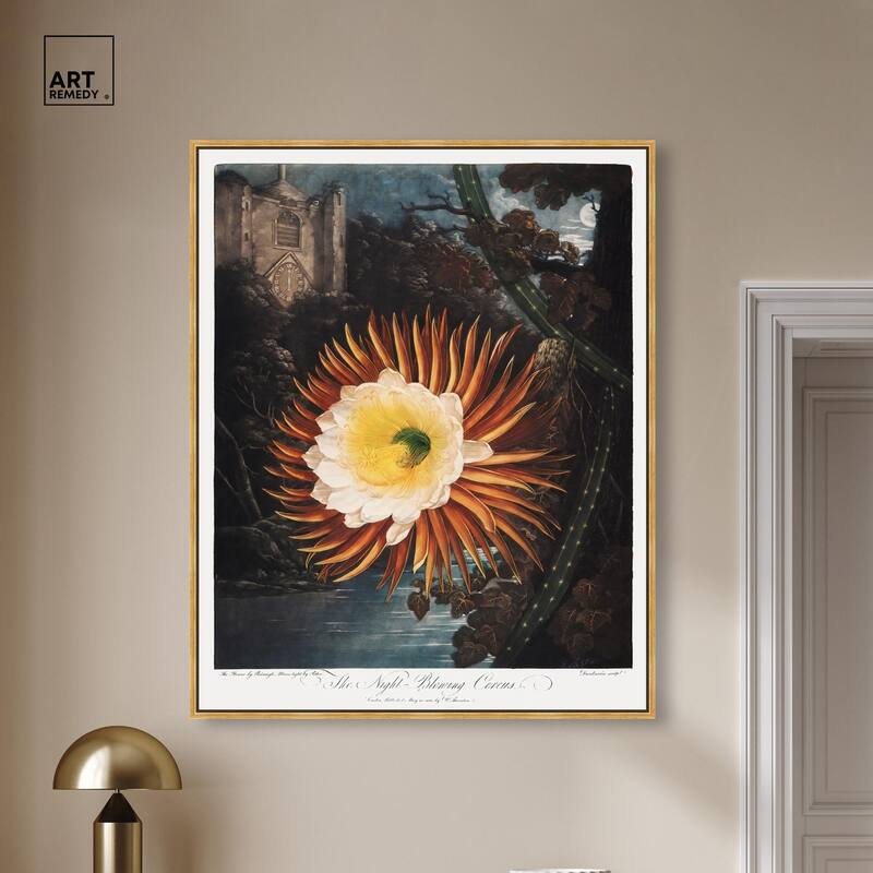 Night-Blowing Cereus 1807 Canvas by Art Remedy
