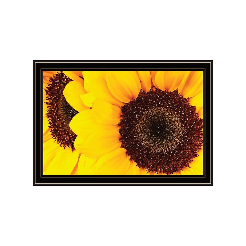 TrendyDecor4U Contemporary "Sunflower Portrait" Framed Print Wall Art - Multi