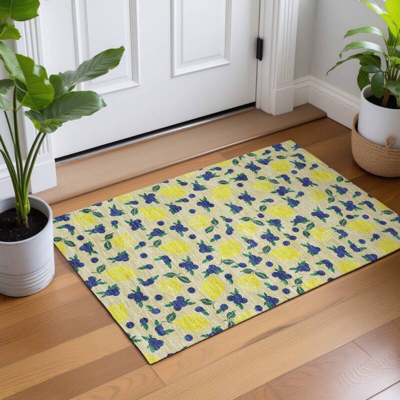 Machine Washable Indoor/ Outdoor Citrus Berry Chantille Rug