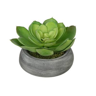 Faux Echeveria in Small Ceramic Bowl