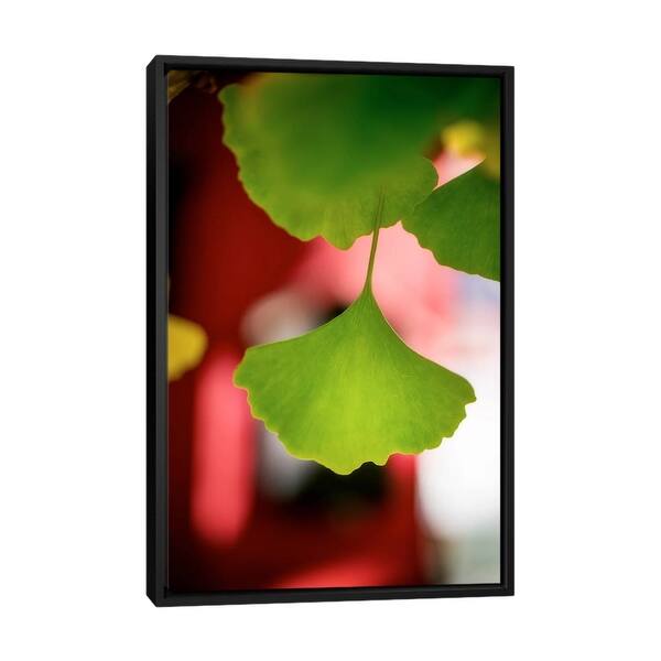 slide 2 of 9, iCanvas "Goethes Favorite" by Philippe Sainte-Laudy Framed Black - 40x26