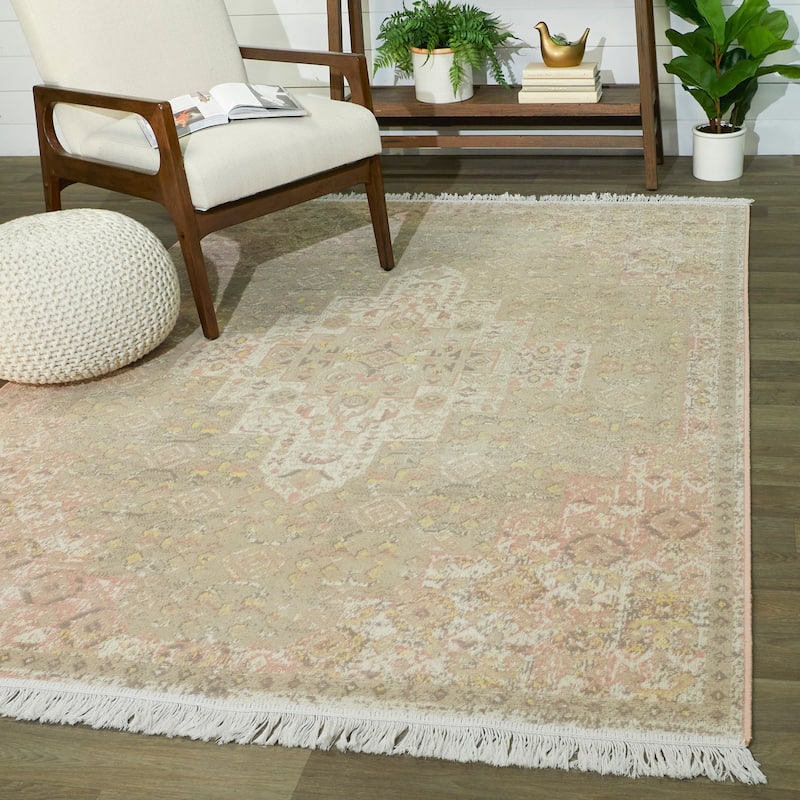 Rosemarie Traditional Recycled Area Rug