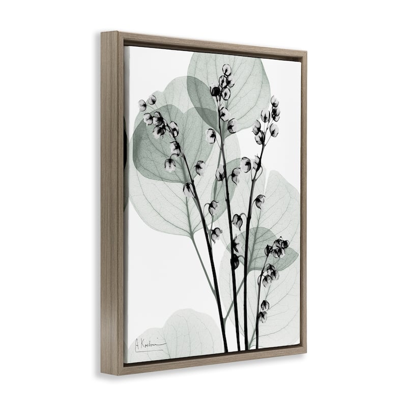 Stupell Fresh Minimalist Herbs Framed Floater Canvas Wall Art Design By Albert Koetsier