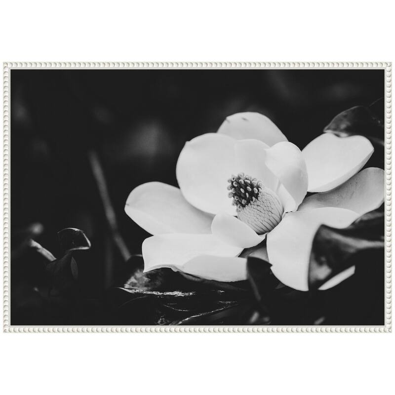 Kate and Laurel Sylvie Magnolias Framed Canvas by Alicia Abla