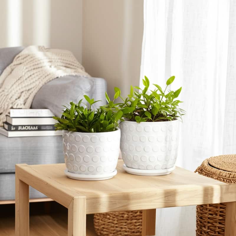 Ceramic Saucer Planters Circular Design Indoor Decor (Set of 2)