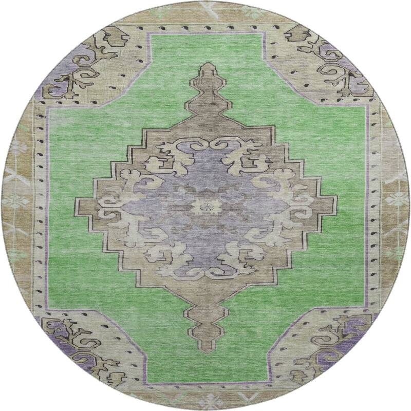 Premium Washable Super Soft Vintage Traditional Mayfield Rug