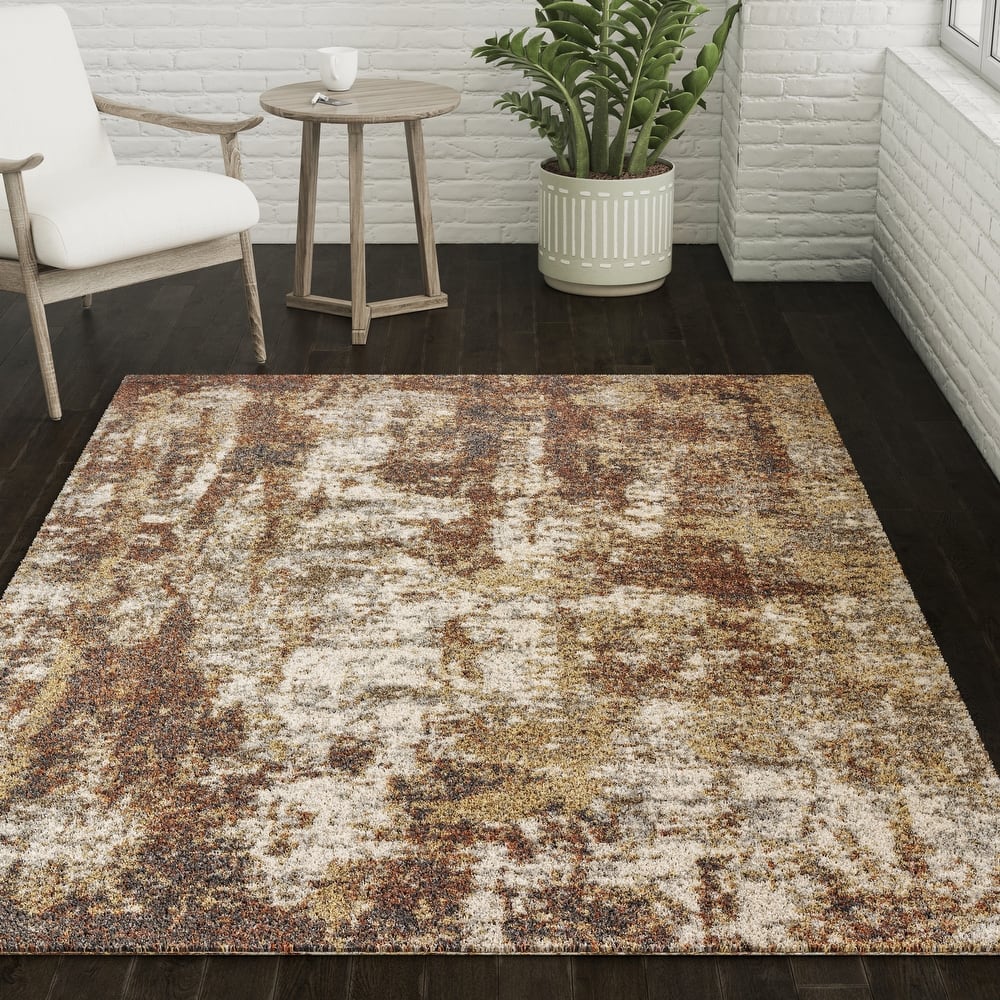 Addison Barkley Distressed Canyon Abstract Accent Rug