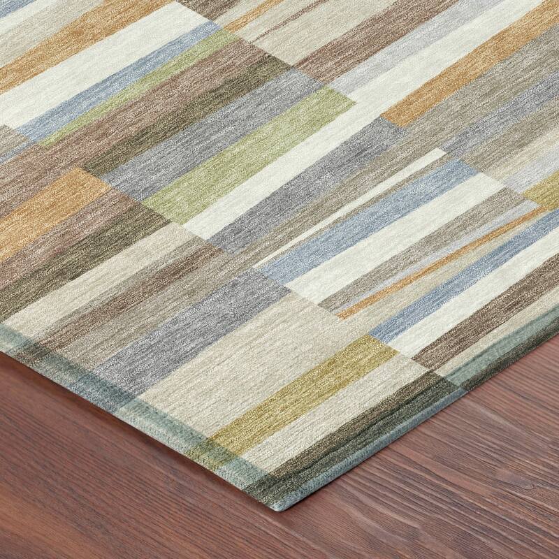Machine Washable Indoor/ Outdoor Modern Antonito Chantille Rug