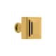 Option Lifetime Brass