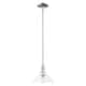 Option Clear / Polished Nickel