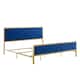 Option Blue