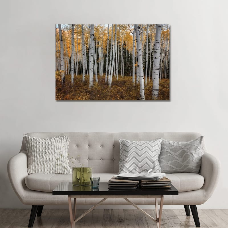 iCanvas "Aspen Forest In Autumn" by Bill Sherrell Canvas Print - 32x48x1.5
