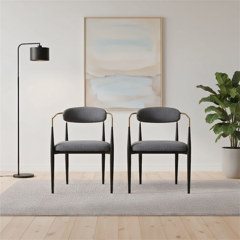 Modern Luxe Dining Chairs (Set of 2) - Charcoal