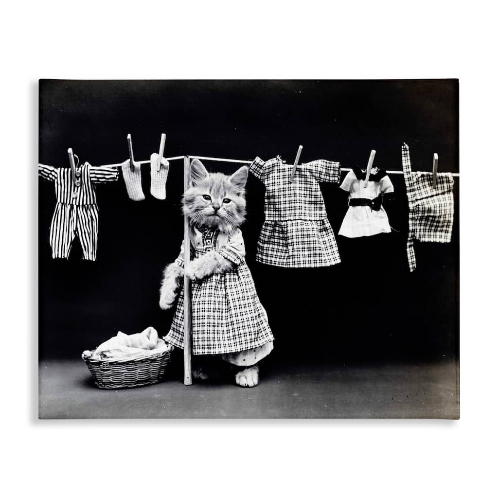 Stupell Kitten Does The Laundry Stretched Canvas Wall Art