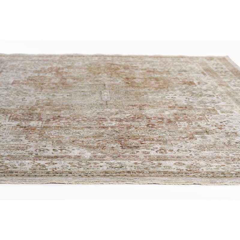 Momeni Georgina Polyester Medallion Traditional Area Rug