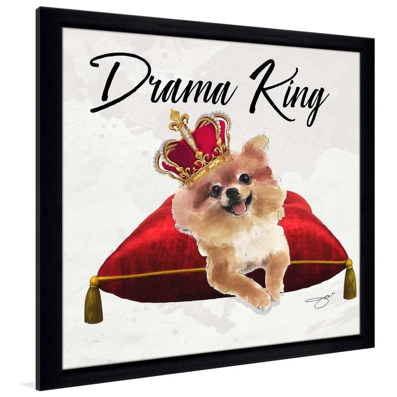 "Drama King Pomeranian" by Jodi Print on Acrylic