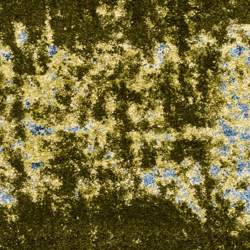 SAFAVIEH Retro Nelea Distressed Modern Abstract Rug