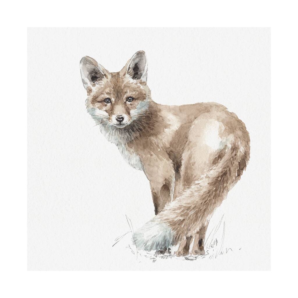 Forest Friends XI (Fox) (41 x 41) Canvas Art Print