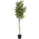 preview thumbnail 8 of 14, Green Faux Foliage Eucalyptus Artificial Tree with Realistic Leaves and Black Plastic Pot